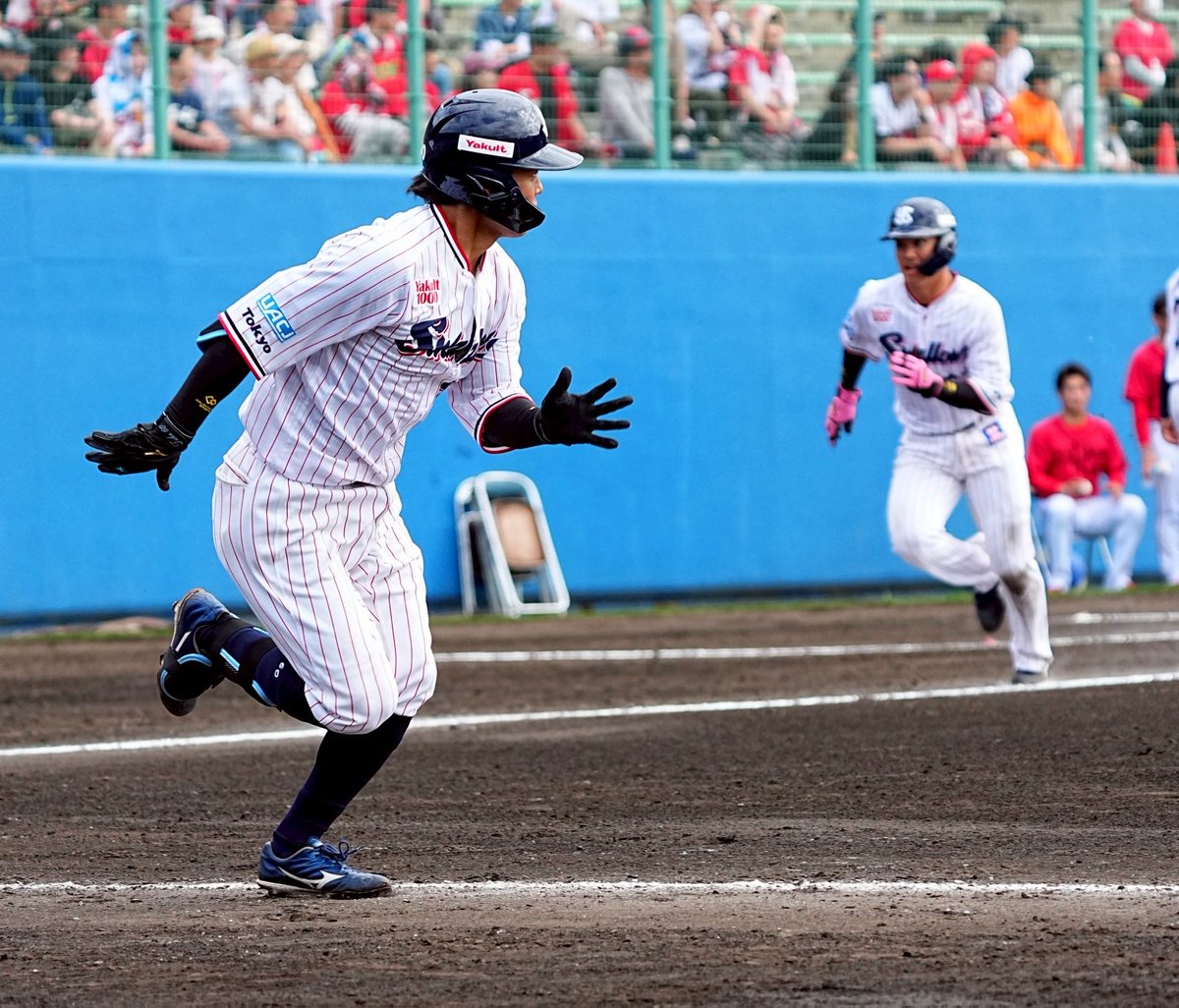 武岡龍世 選手 今日も存在感を放ってました アピール継続中 #swallows