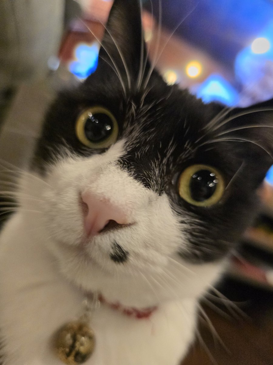 たんたん (@tantan_sing) / Posts / X