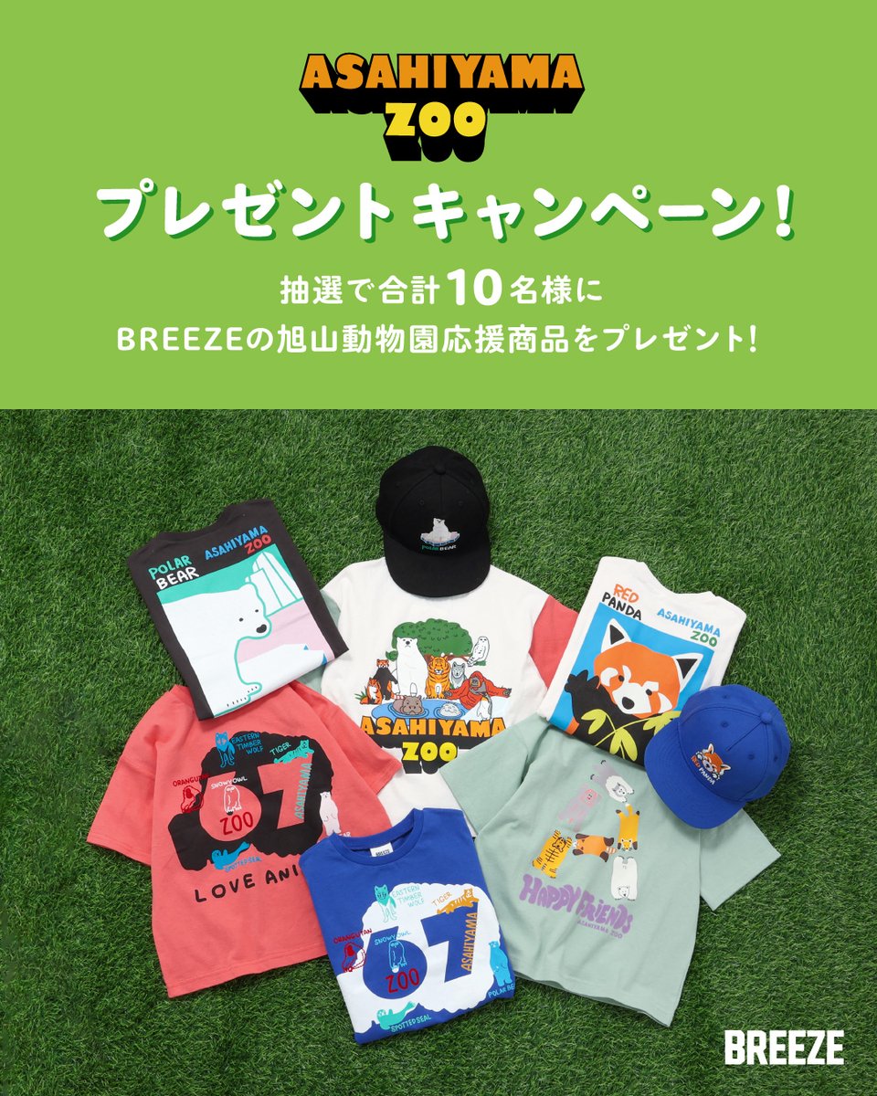 BREEZE(ブリーズ) (@BREEZE_FO) / Posts / X