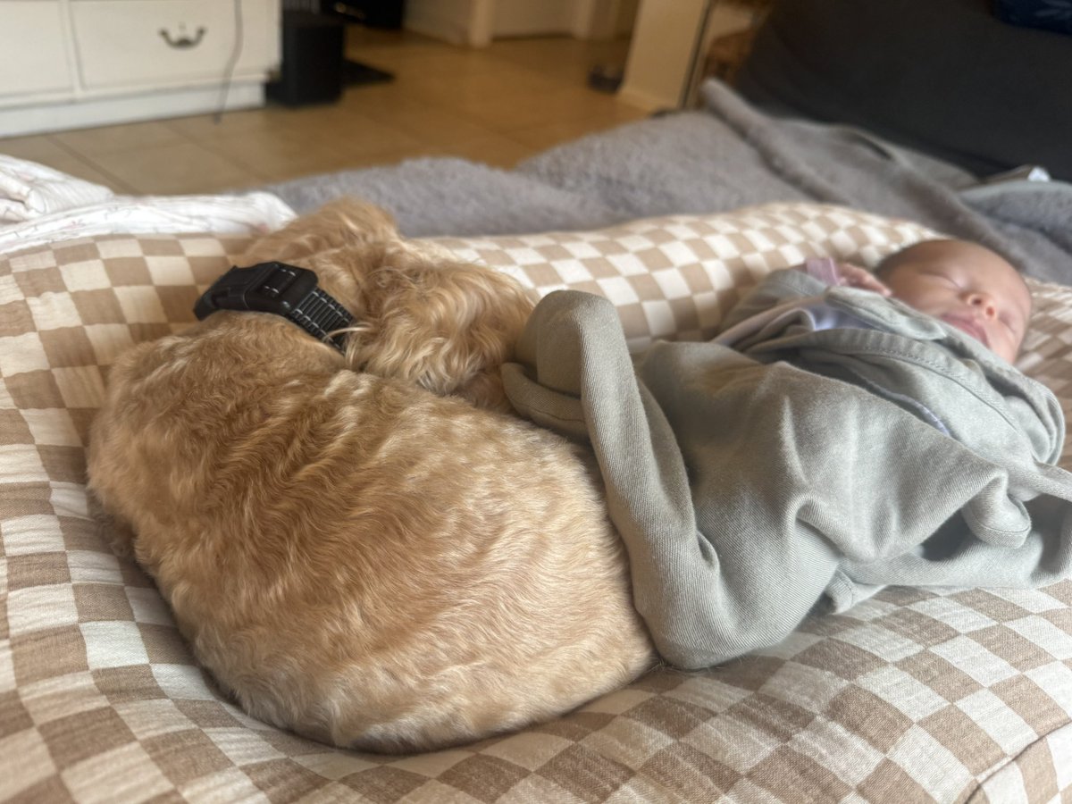 Yuzu🇯🇵🇺🇸🏄‍♀️ (@yuzupiiing) / Posts / X