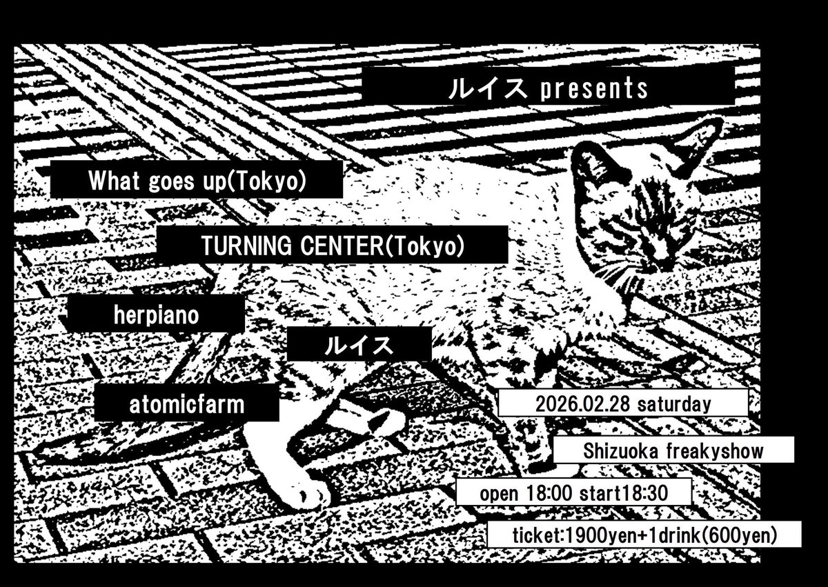 本日、ルイス企画です！ フリーキーショウでお待ちしてます！ 静岡