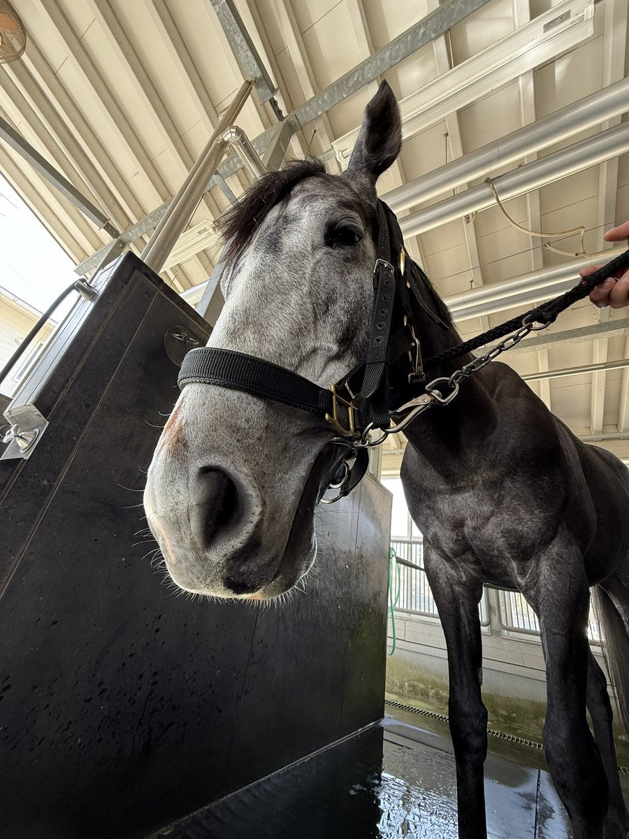 きんちん (@KiNCHiN_7105) / Posts / X