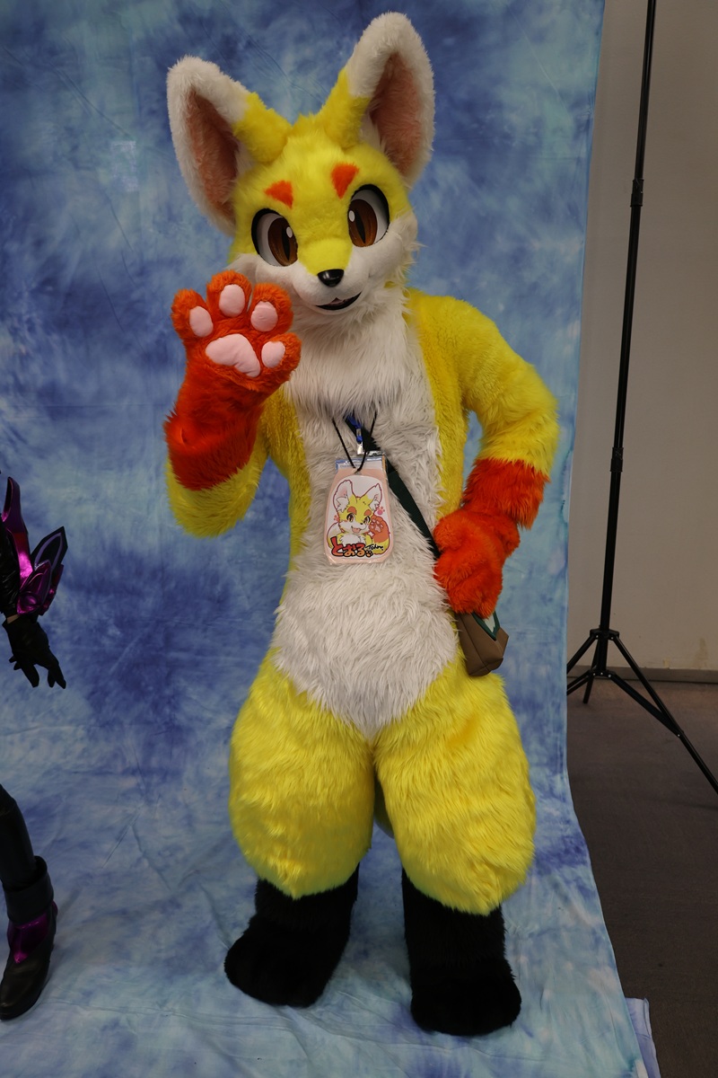 どんちゃん (@Donn_Chann) / Posts / X