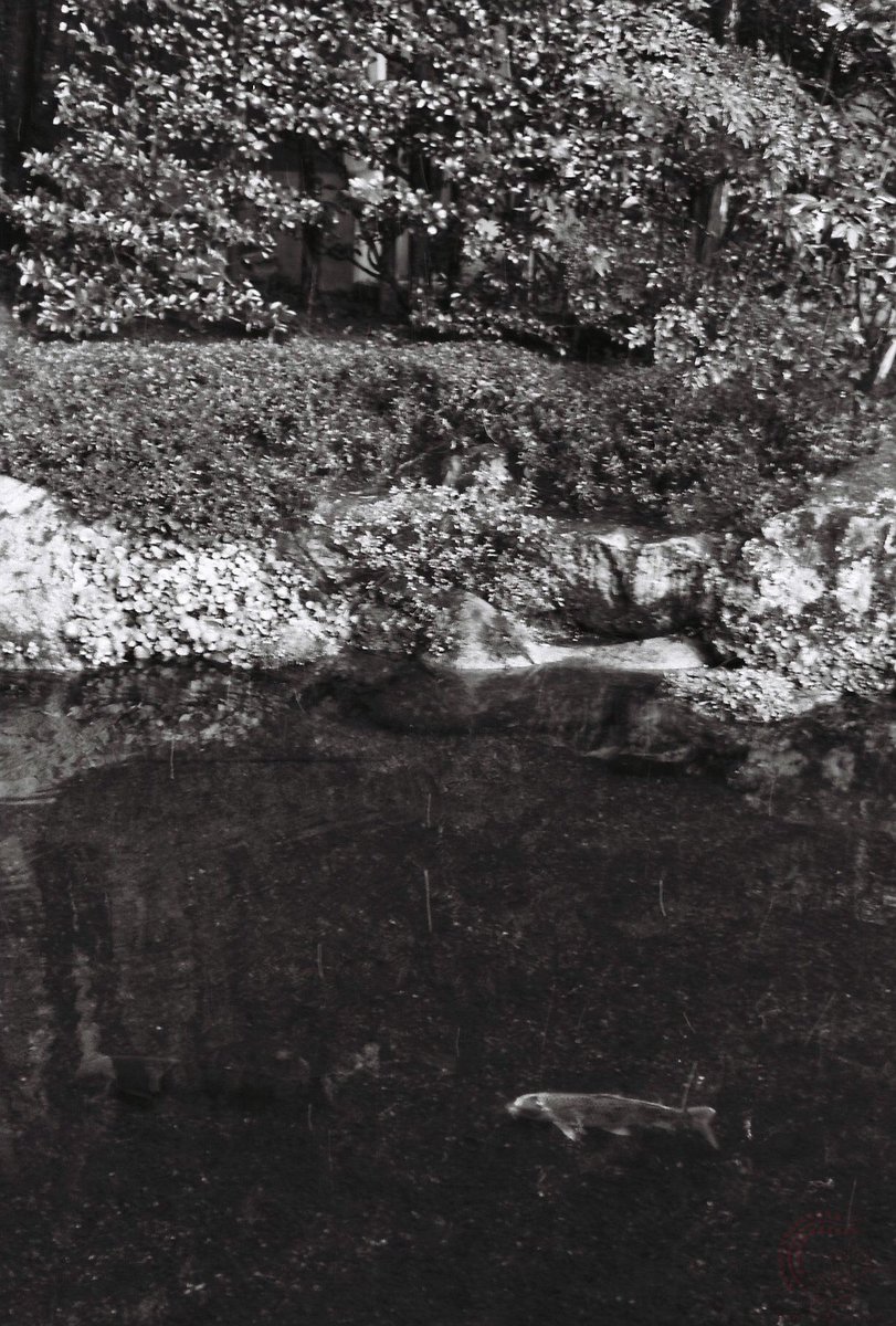 本*人様 実写テスト済 CarlZeissJena Tessar2.8cmF8 2026年最新】carl