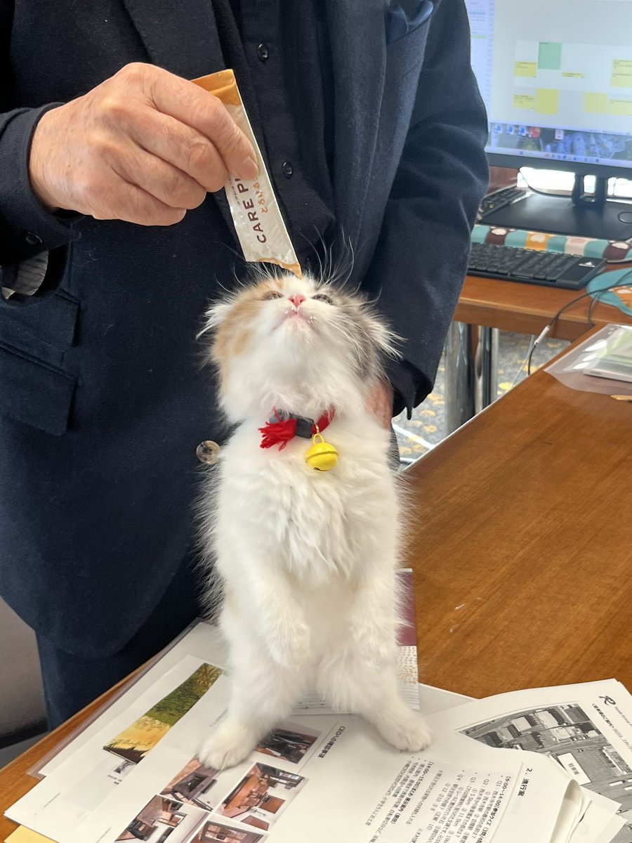 駅長たま (@ekichoTAMA) / Posts / X