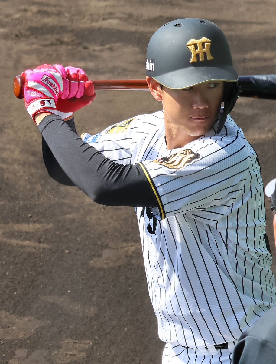 260301SGL🍃💕 ✨🌟ℕ𝔼𝕎🌟✨ 💗🌸𝑷𝑰𝑵𝑲🎀💗 そして𝐦𝐢𝐧𝐢