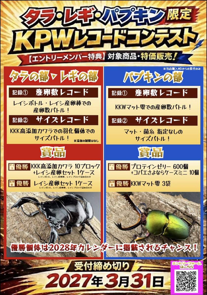 入荷のご案内】 人気の標本箱が入荷しました！ お待たせしました