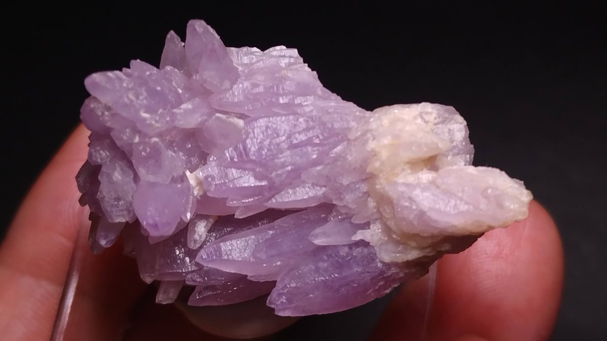 小さいけど可愛い富井鉱山の紫水晶。 今月のミネラルザワールド横浜