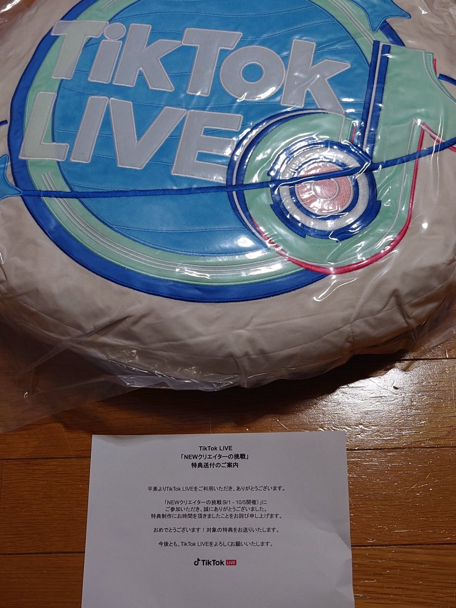 何かと思ったら当選したTikTokのクッションでしたꉂ🤣𐤔 さすがに昨年