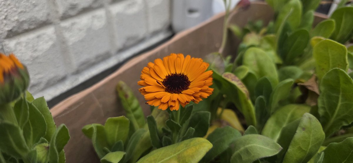 ★新作5点★ねねページ