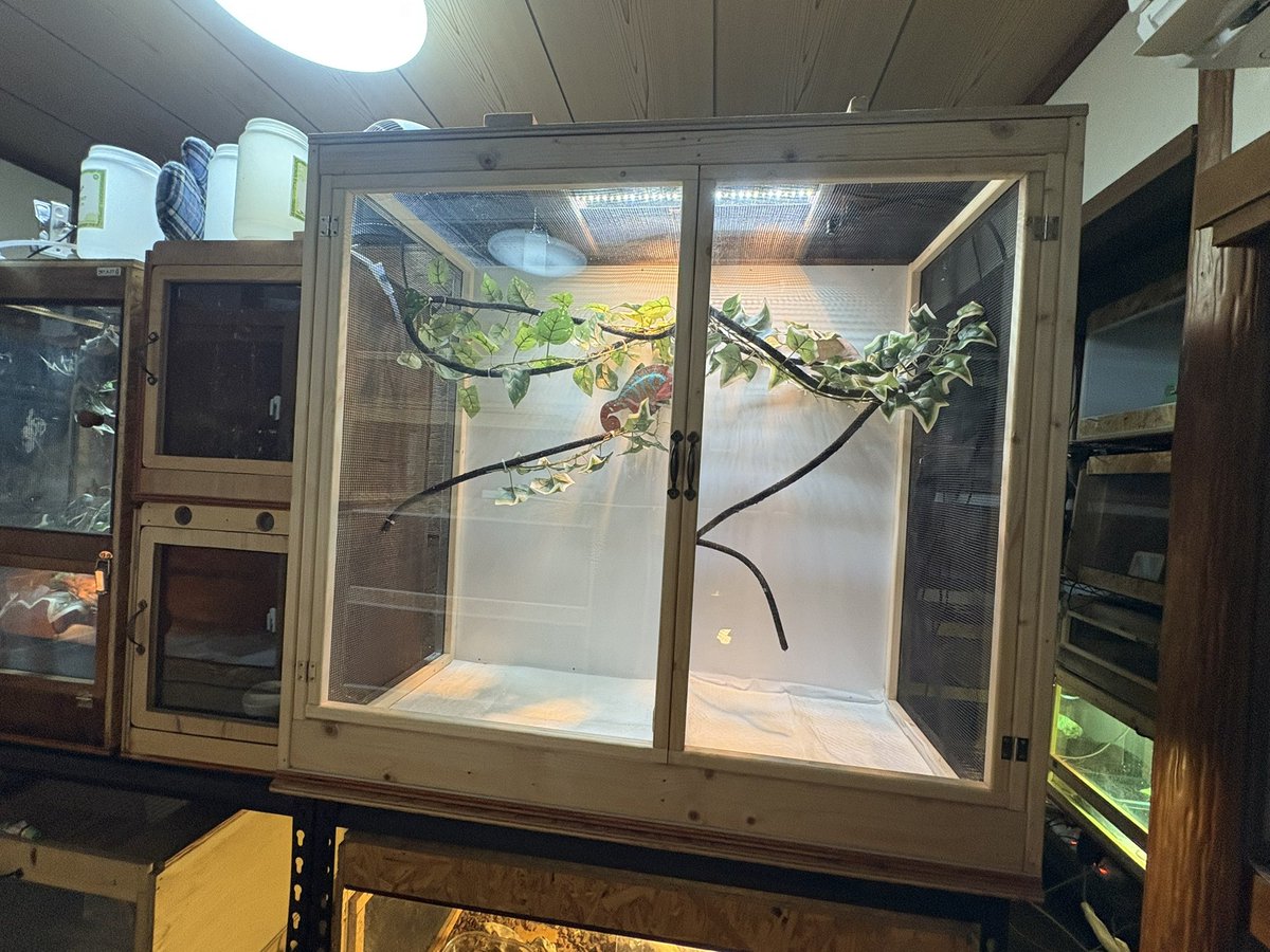 yuma爬虫類ケージ工房 (@hokakenoken) / Posts / X