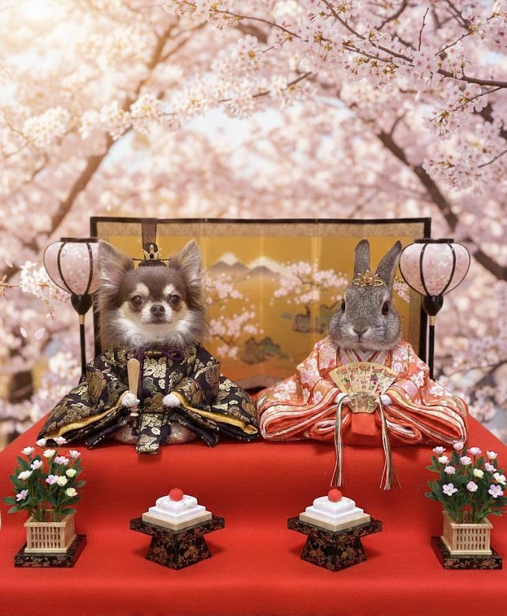 仲良し🐶🫶🐰