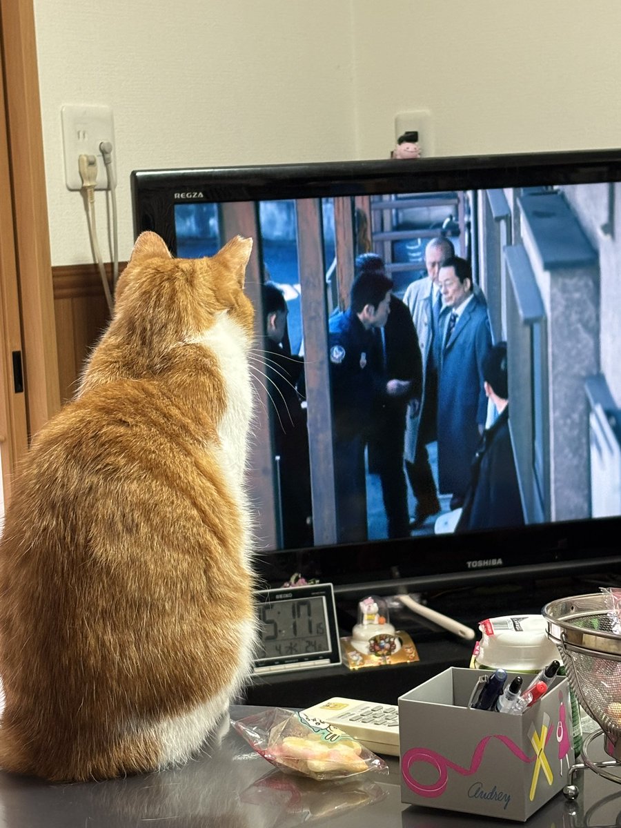 よっしー🌻🐟👹✌️🧩🖐️ (@yoshi010908) / Posts / X