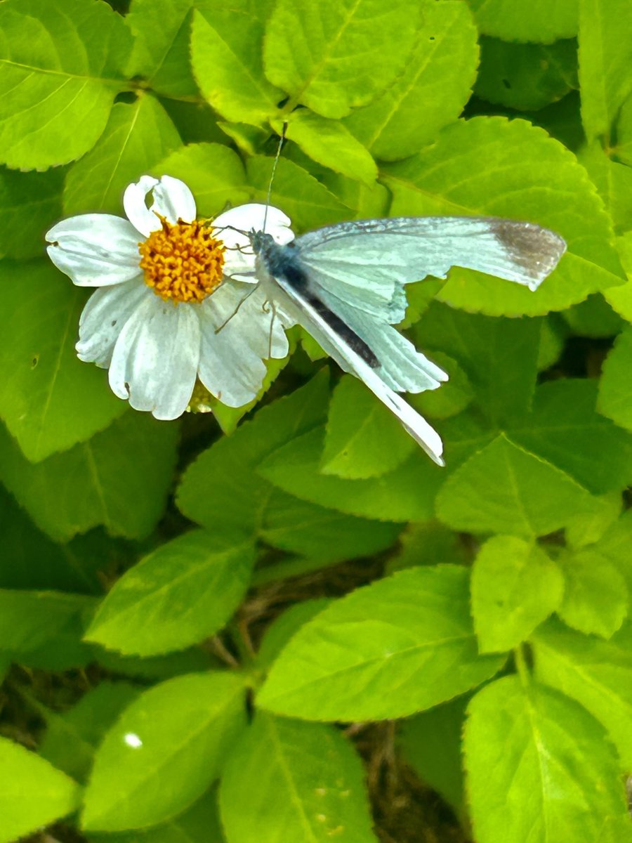 🎼Sun🫐 (@LJmfSFTsfxuiMl5) / Posts / X