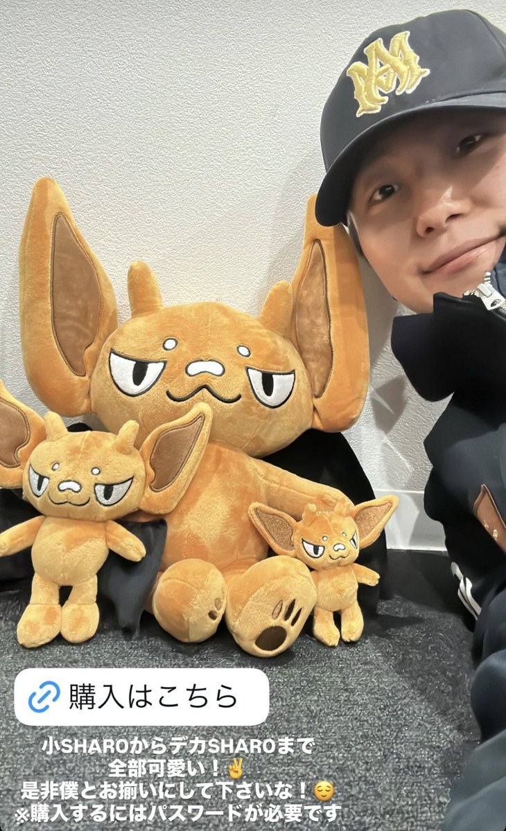 あっちゃんストーリーより □商品ラインナップ ・ぬいぐるみ：¥3,300