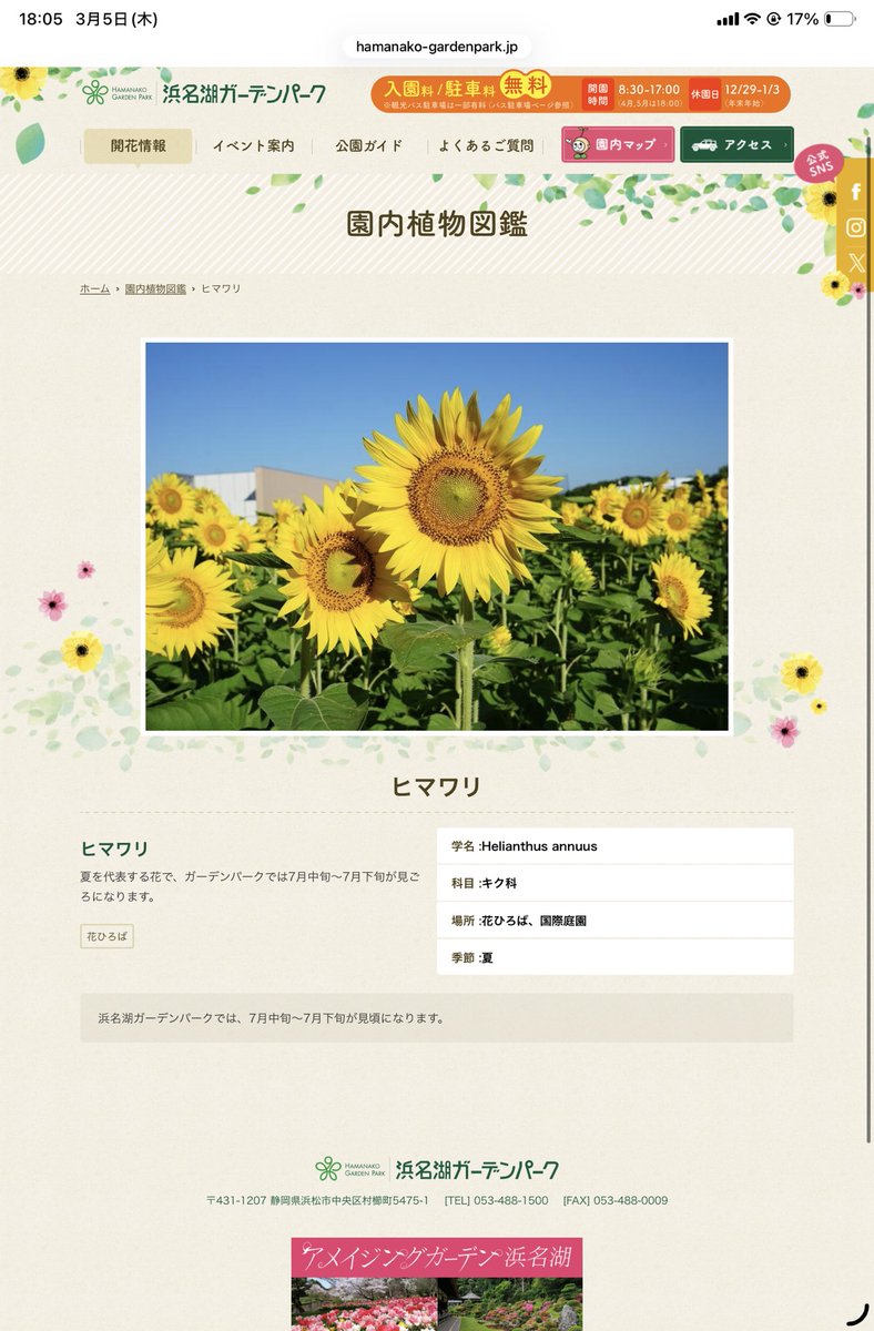 2026のマジミラちゃんはなぜ🌻向日葵？？となったのだが、どうやら浜名