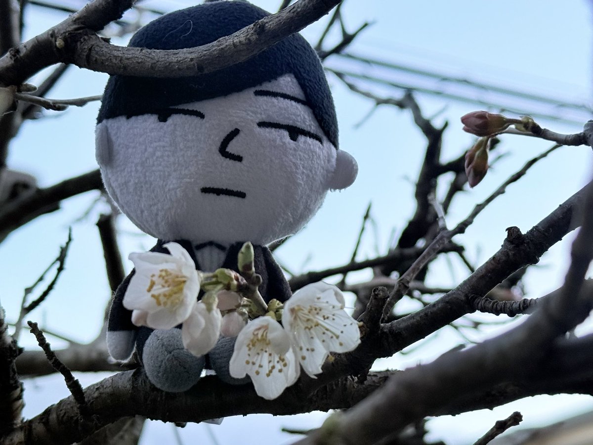 𝒎 𝒆 𝒍 𝒐 𝒅 𝒚 ☆༻¨* (@melody25912864) / Posts / X