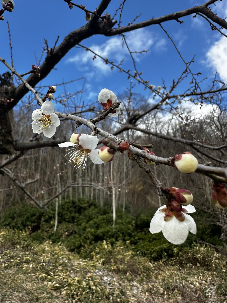 おはようございます(*ˊᵕˋ*) 今日も一日よろしくお願いします