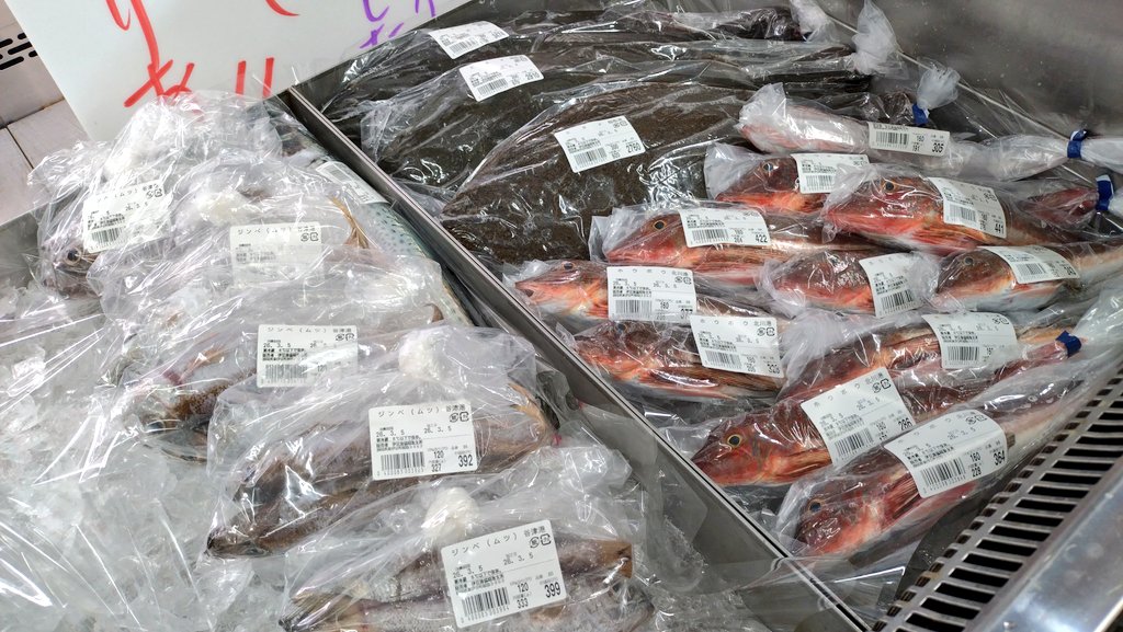 🐟NoZoMi🐡 (@NoZoMi62899360) / Posts / X