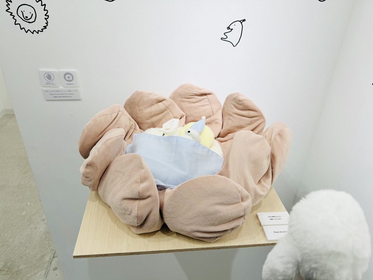 カネヒラ (@simainusima) / Posts / X