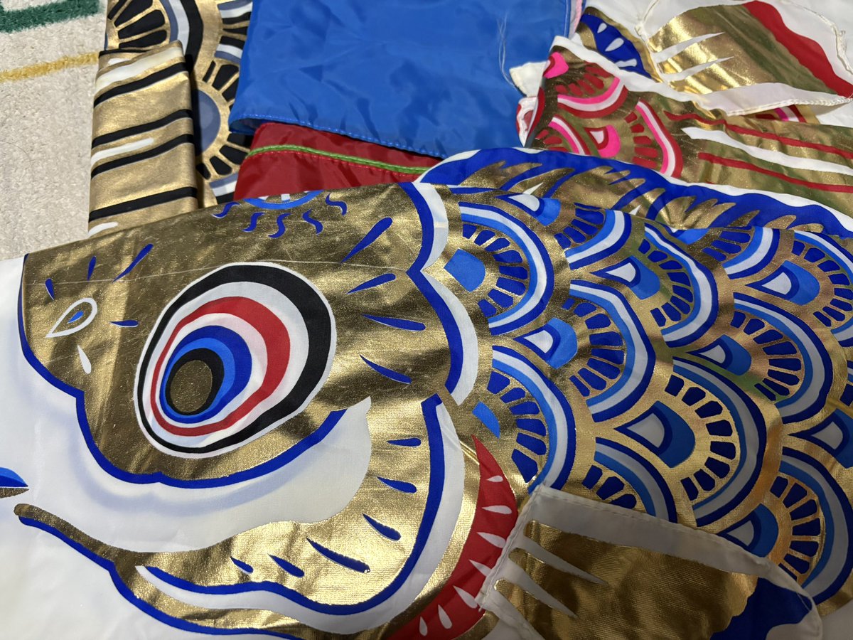 フジサワ鯉の黄金鯉が届きました！ 青鯉はヒレ付きです。