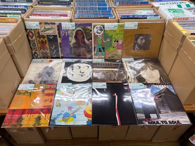 3/7(土) 新入荷情報♪レギュラーLP①】 ロックポップス55枚、パンク