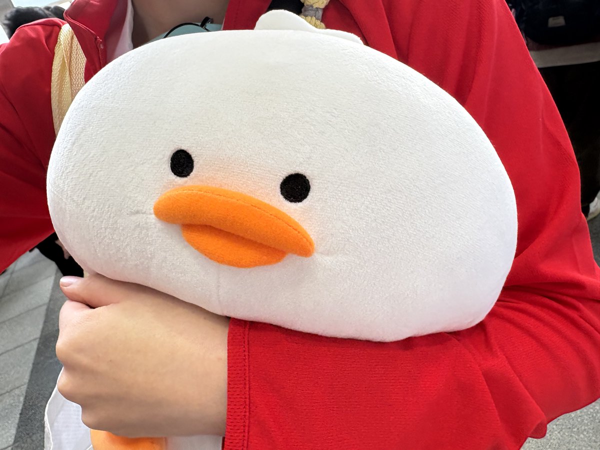 あんず🏴‍☠️🚑 (@anzu__v) / Posts / X