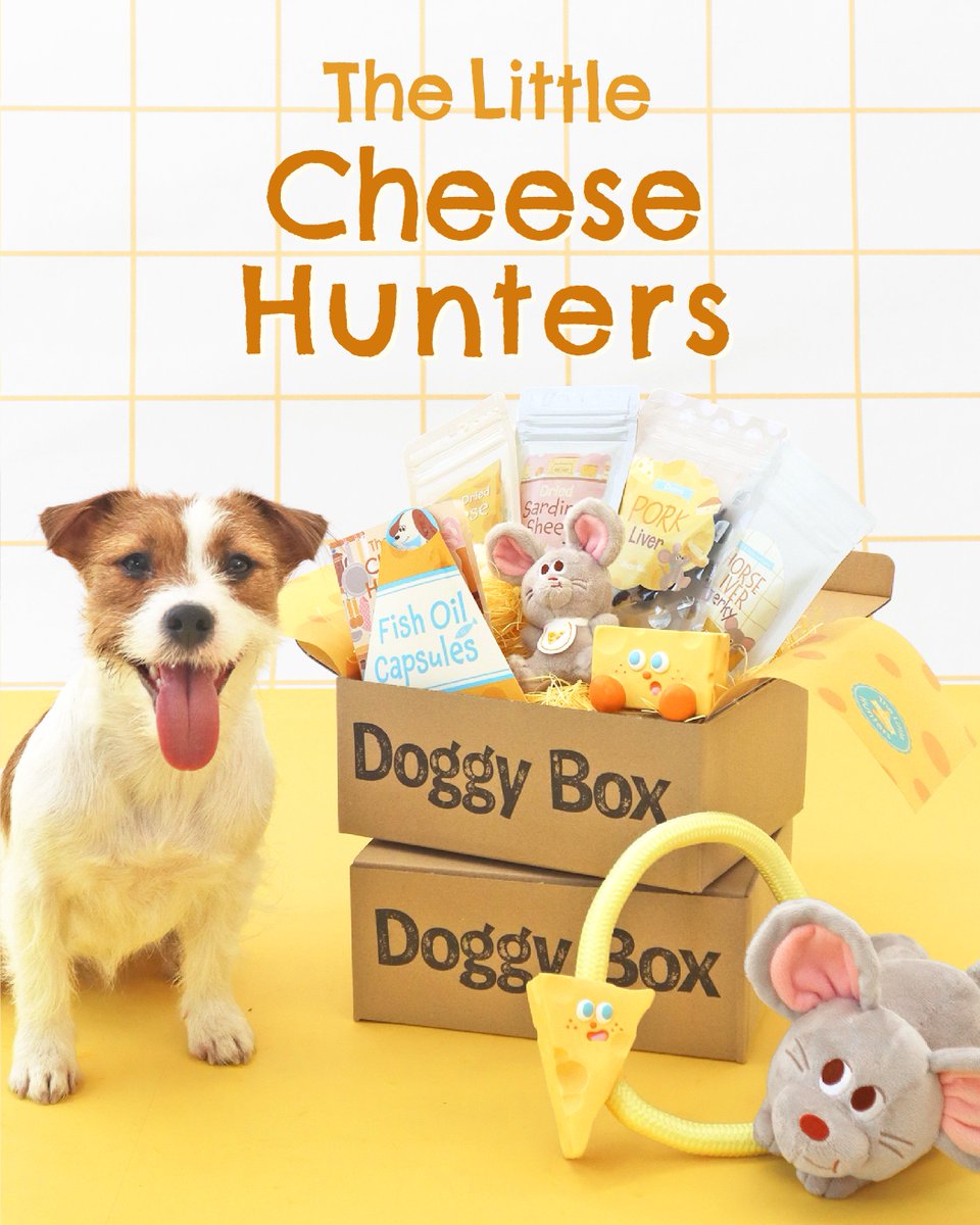 Doggy Box(ドギーボックス) (@doggybox_jp) / Posts / X