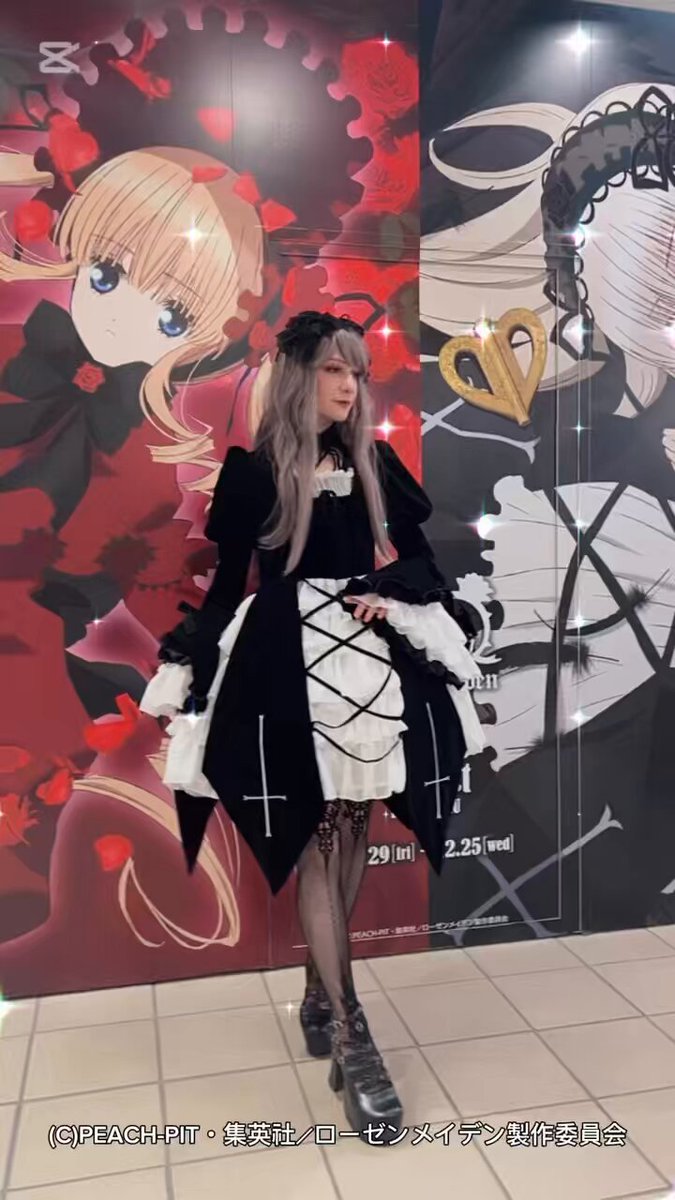 🌹ローゼンメイデンコラボドレスセット🌹 🥀受注予約受付中