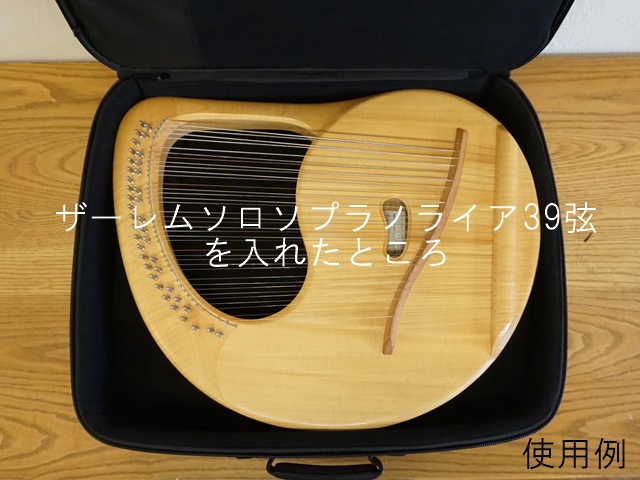 1409-2】ライアー軽量ケース（ライアーバッグ/セミハードバッグ