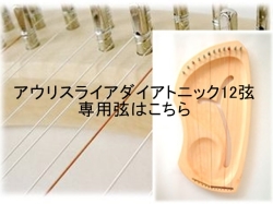 受注発注【182】アウリスライアー/ダイアトニック/12弦/LDD ペロル