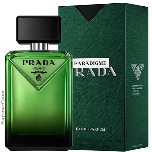 Prada Paradigme Eau De Parfum For Men 100ml | Perfume Gyaan