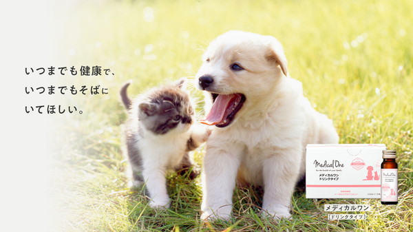 動物病院専売品】メディカルワン ドリンクタイプ 50ml×10本入り: 94