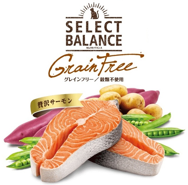 ブリーダー セレクトバランス グレインフリー 猫用 アダルト チキン 10kg