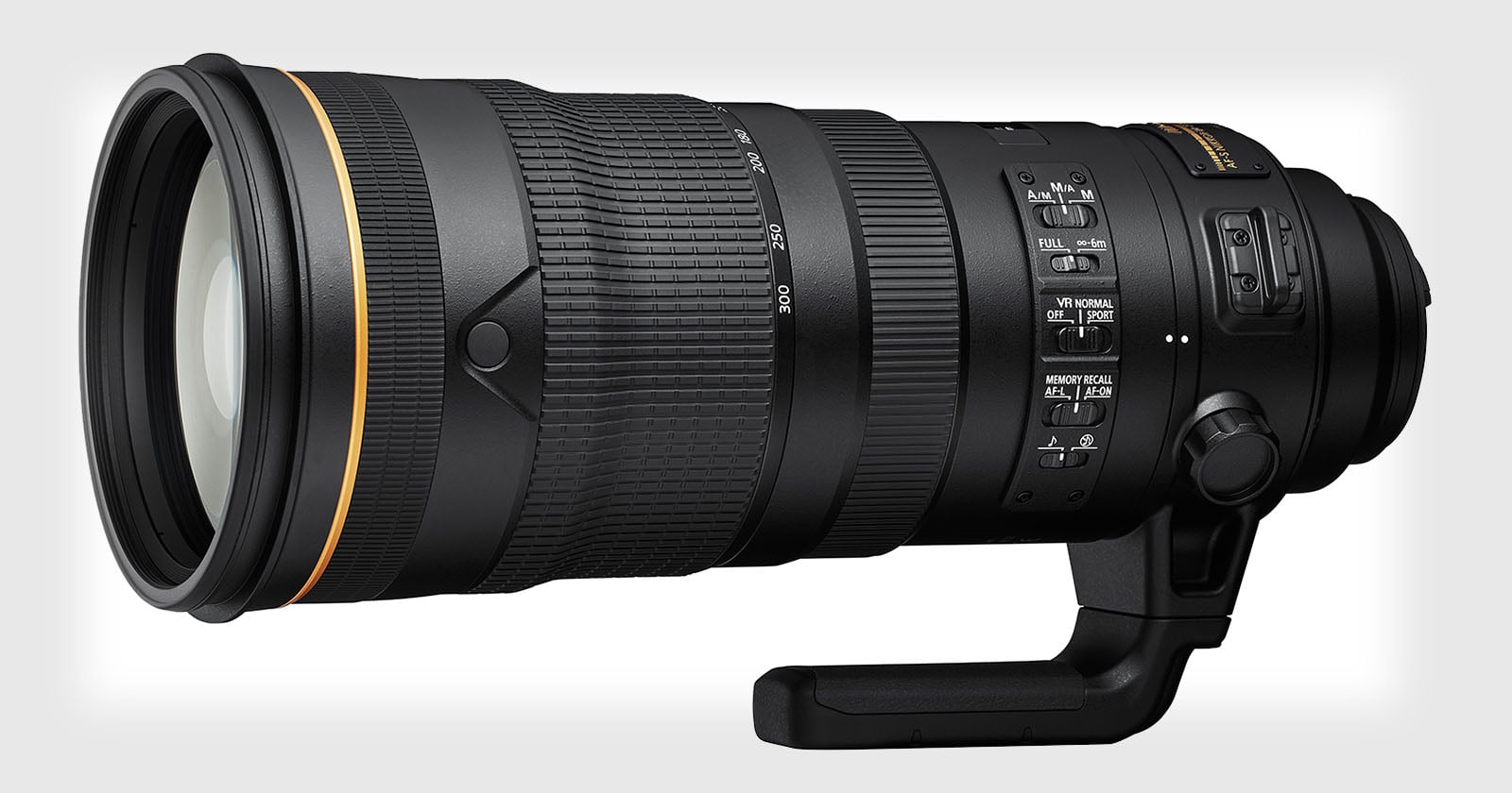 Long-Term Review: The Nikon 300mm f/2.8 VR is an Ultimate Bokeh