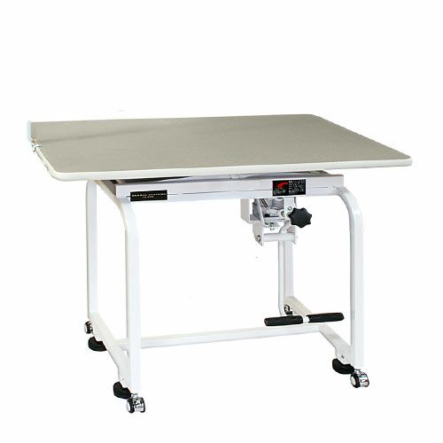 000000000110-01-l.jpg?t=