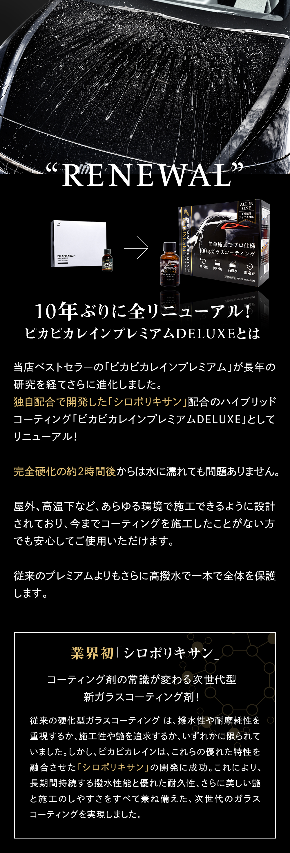 ピカピカレインプレミアム【滑水性】 | すべての商品 | 車のガラス