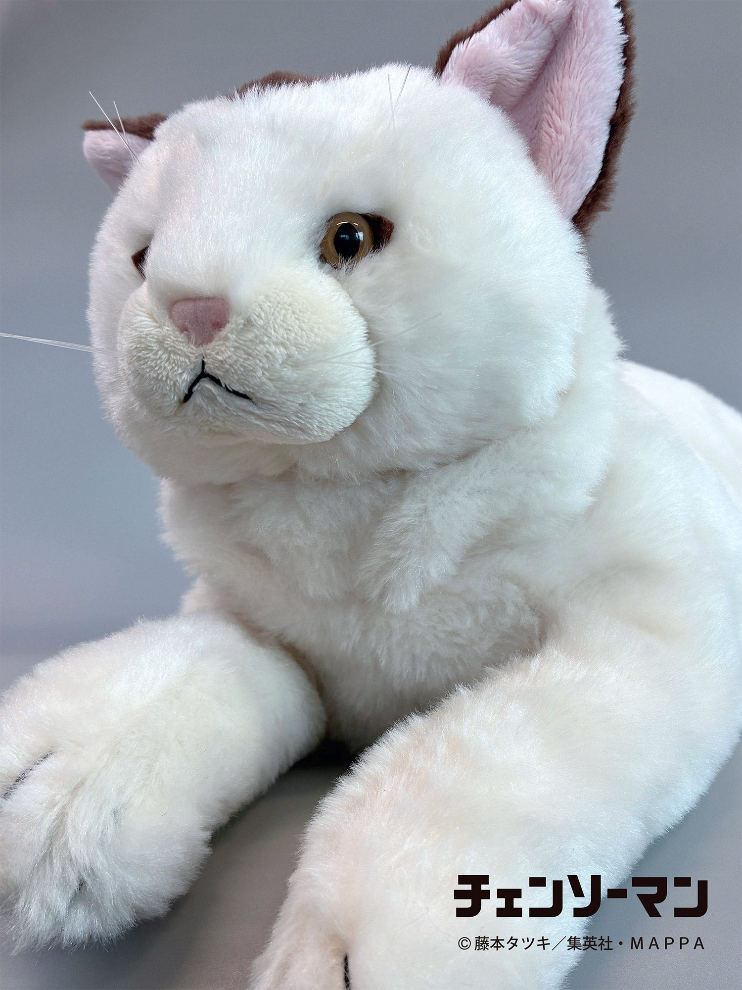 Pochimart】チェンソーマン ひざねこニャーコ【日本テレビサービス】