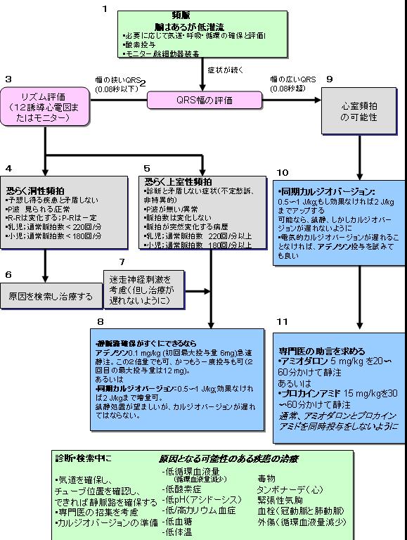 AHA心肺蘇生法ガイドライン2005 第12部 小児の二次救命処置
