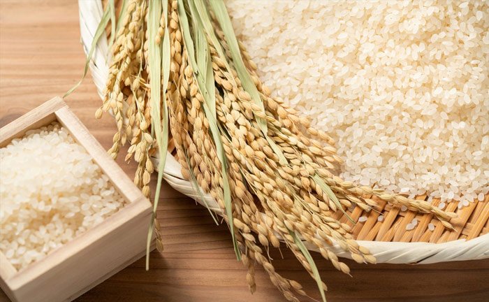 数量限定】「クエルボ 1800」の最上級品「1800 ミレニオ」発売開始