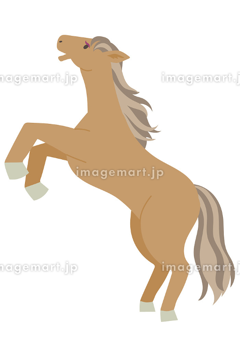 立ち上がって鳴いている茶色い馬のイラスト素材 [297721630]｜毎月1点