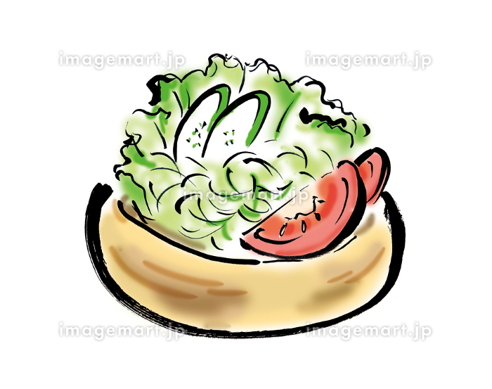 手描きイラスト素材 洋食 野菜, サラダ, レタス, グリーンサラダ