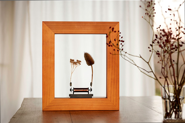 nbb02171 slow dance え！額縁の中のオブジェが動いてる nbb02171様