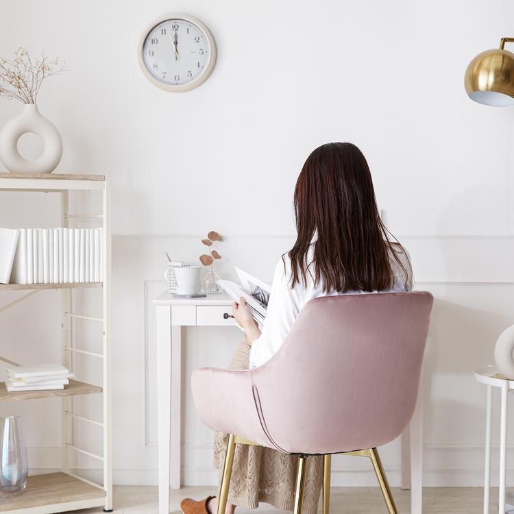 WEB限定】 ASHEL jelly デスクチェア 4本脚 スモーキーピンク