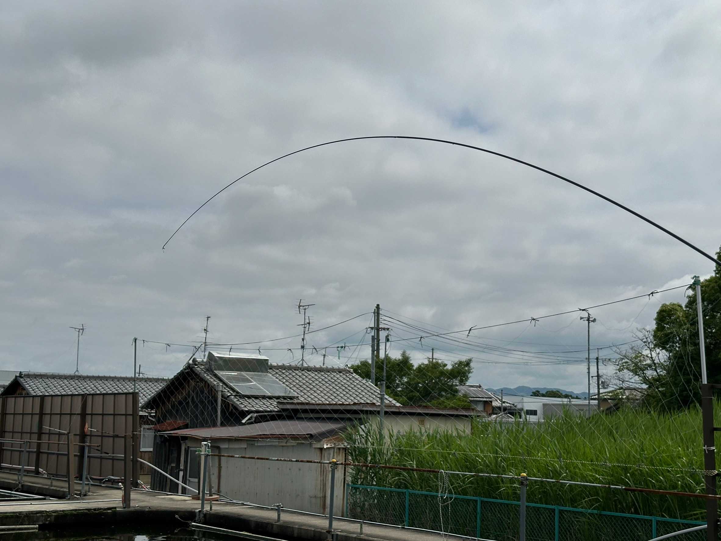 シマノ景仙 桔梗 インプレッション① - 両うどんのヘラブナ釣り