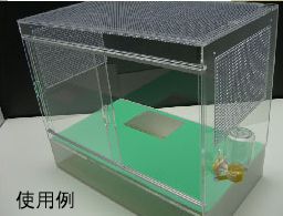 BIGハリネズミアクリル飼育ケージ用シート | ピュアアニマル