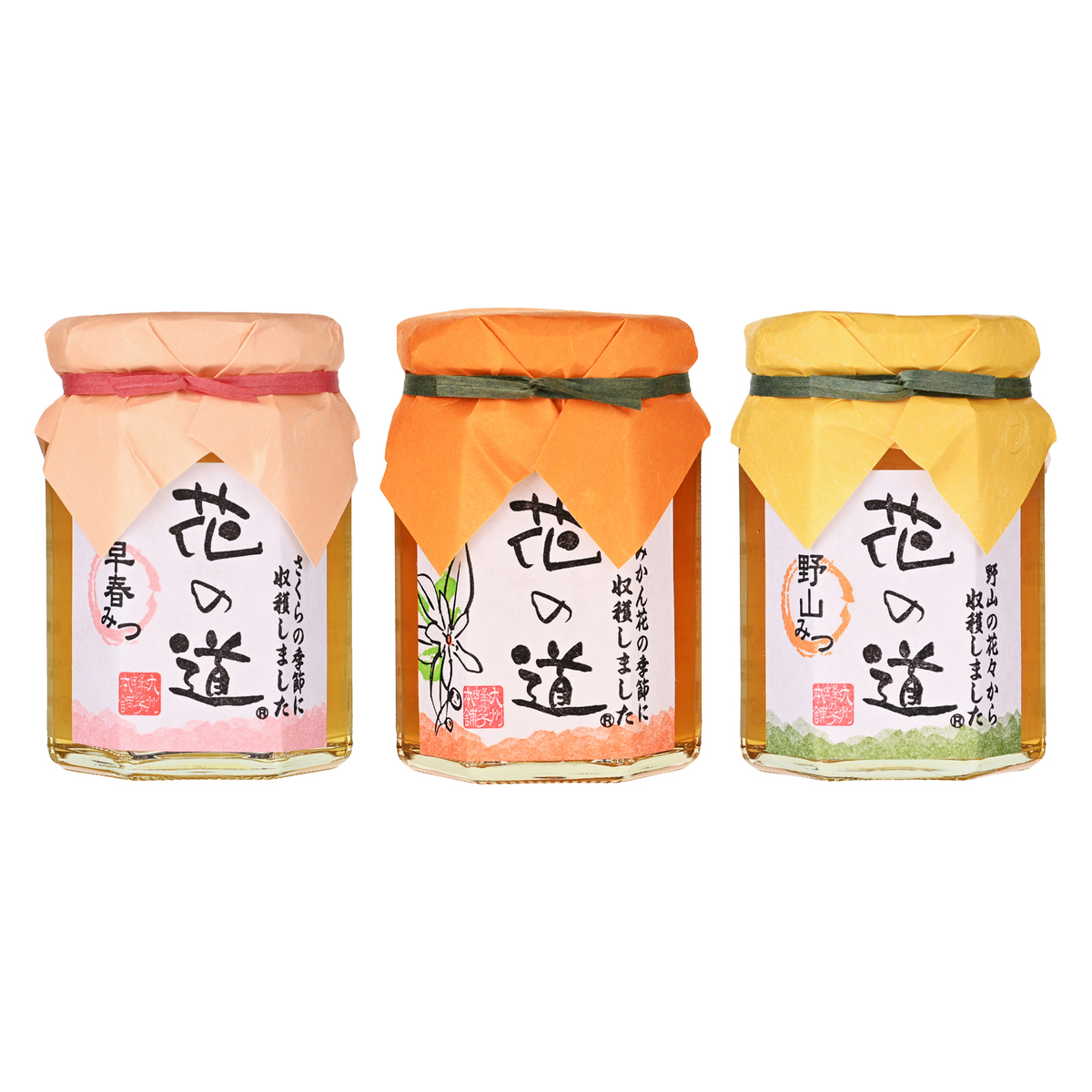 九州蜂の子本舗 国産蜂蜜3種セット [140g×3] - QVC.jp