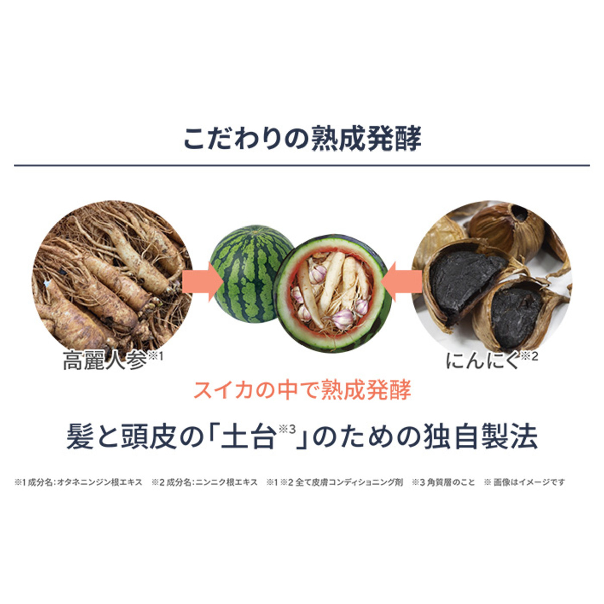 J.avec toiバイタライジングHS-III 3個 特別セット ジェイアベックトワ