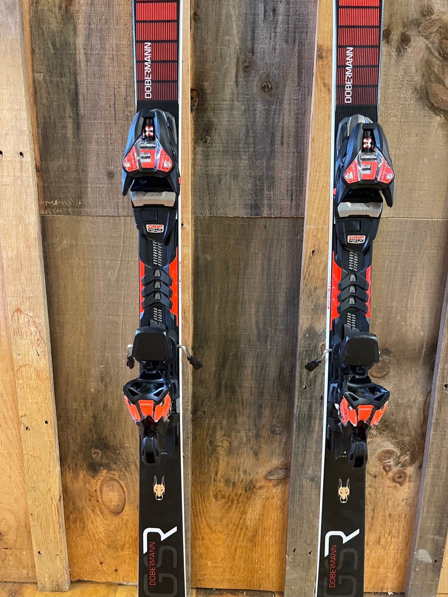 Nordica Dobermann GSR Race Skis with Marker Xcell Bindings - DEMO