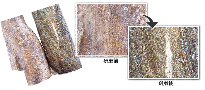 海松 深海松 レインボーコーラル 置物 素材 原木 Yahoo!オークション